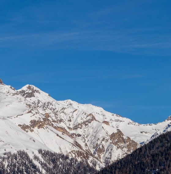 如何加入粉象生活推广