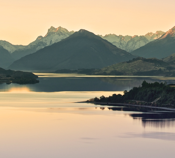 粉象生活是干什么的