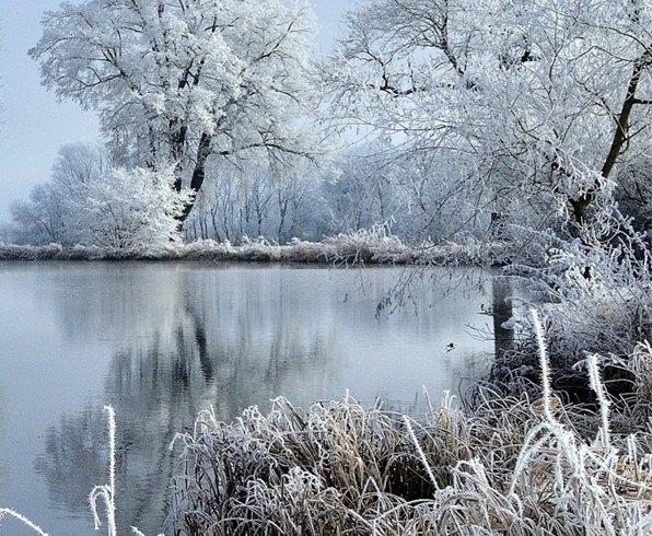 省钱和粉象生活