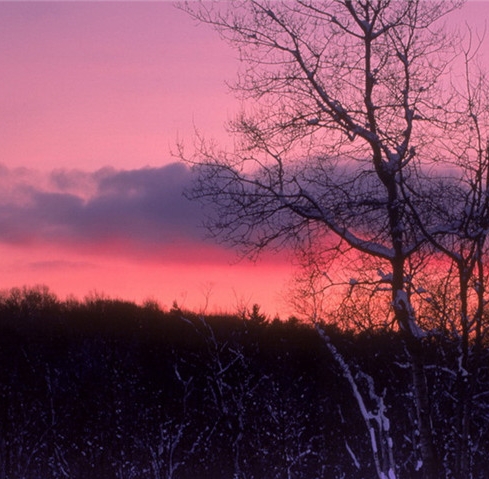 粉象生活省钱图片