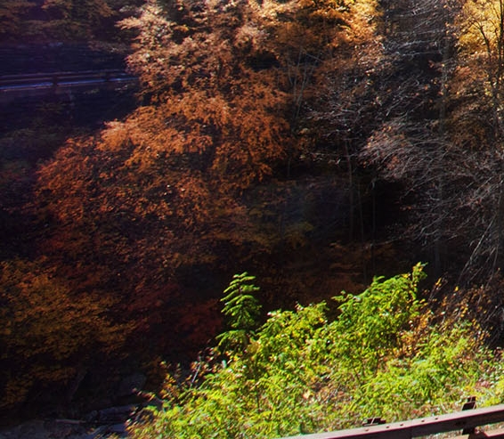 今日头条怎么圈粉
