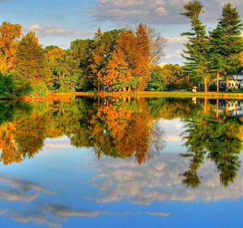 粉象生活有无人卖粉象生活