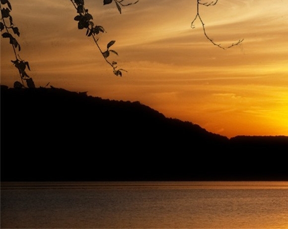 汕尾粉象生活佣金