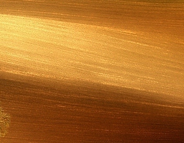 粉象生活怎么选购