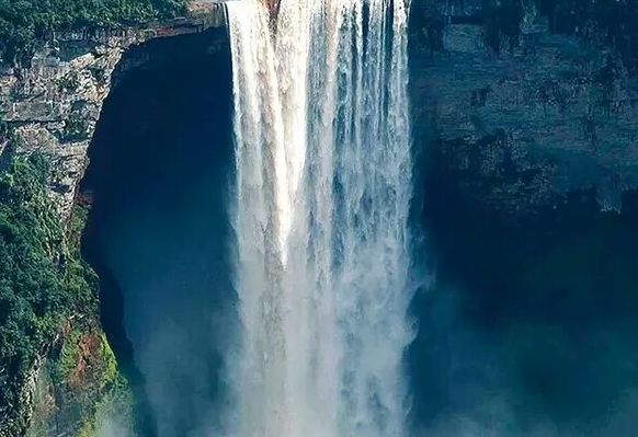 粉象生活注销流程