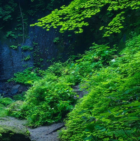 粉象生活西宁邀请码