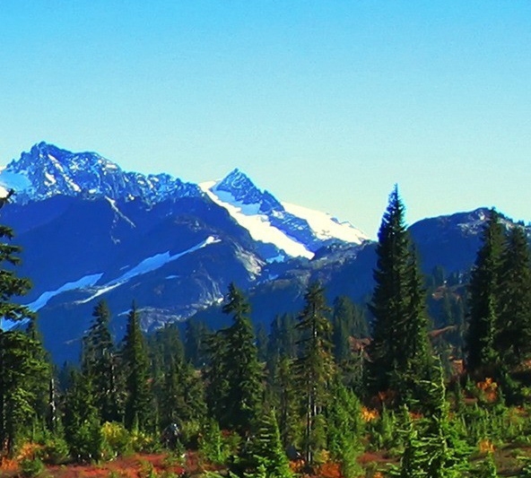 粉象生活怎么开通支付宝