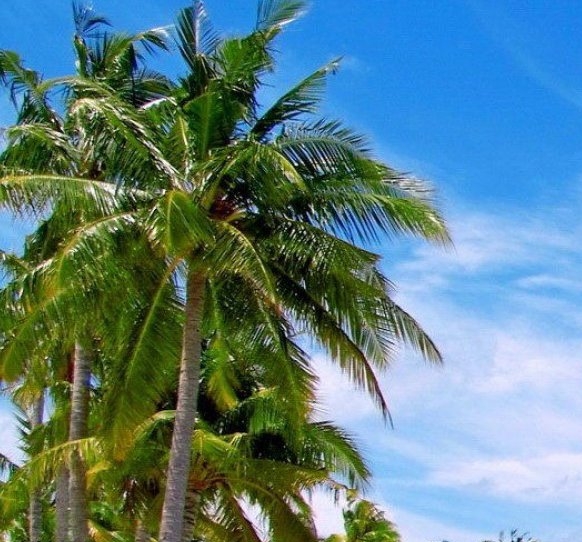 淘宝分期是怎么分期的