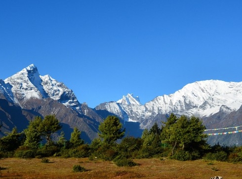 粉象生活下载app