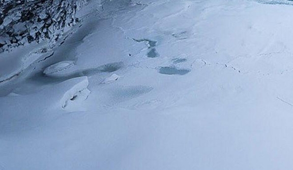 粉象生活怎么下载收藏