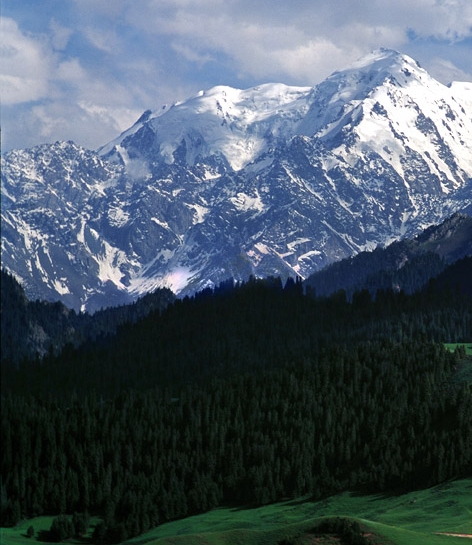 漯河粉象生活软件