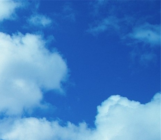 粉象生活被罚款