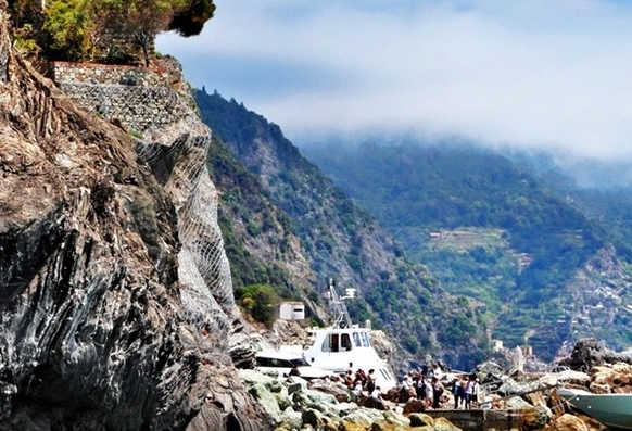 粉象为啥后劲大