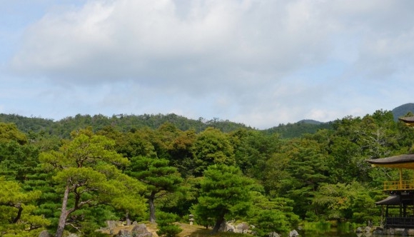 粉象生活拉不到人能赚佣金吗