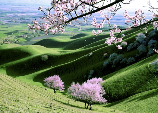 粉象生活能赚到钱吗