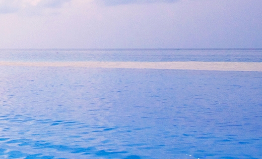 粉象生活能赚到钱吗