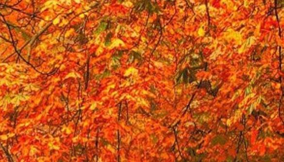 粉象生活金象赚大钱