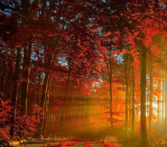 粉象生活怎么快速推广