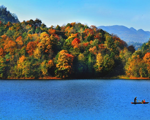 粉象生活要怎样去赚钱