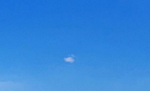 粉象生活邀请码