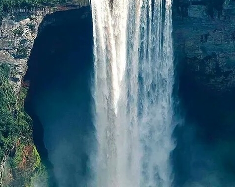 粉象生活效果好吗