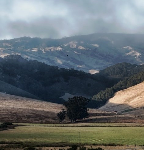 粉象生活怎么注册手机号