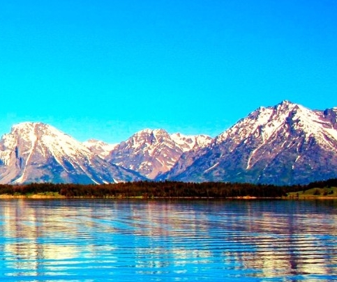 粉象生活里面的新用户