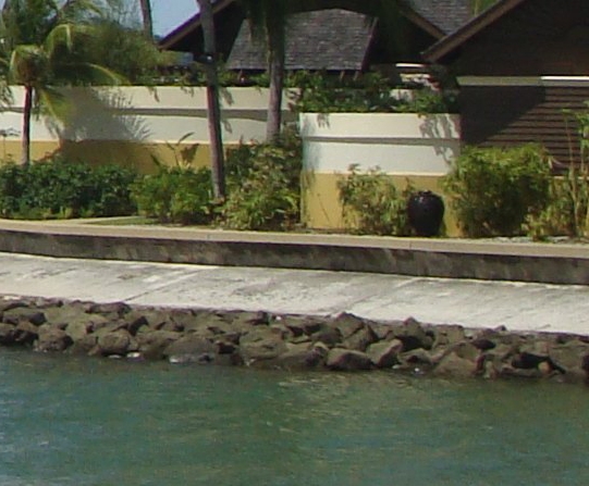 粉象生活真有那么挣钱