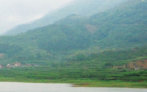 粉象生活邀请码