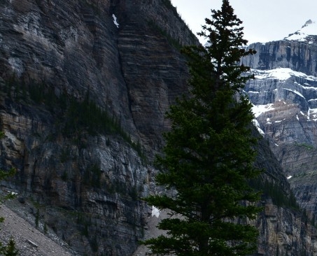 丽水有谁知道粉象生活推广