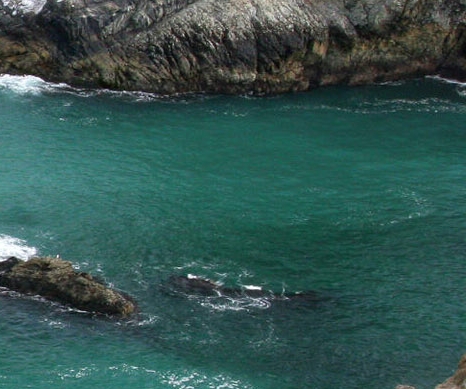 江西口碑粉象生活怎么赚钱