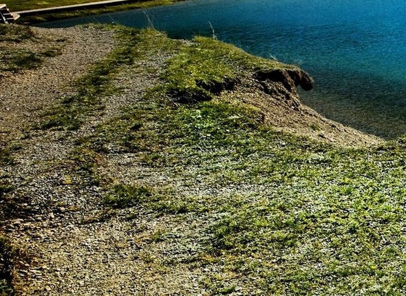 粉象生活粉丝怎么增加