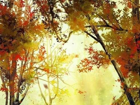 粉象生活可以赚钱吗