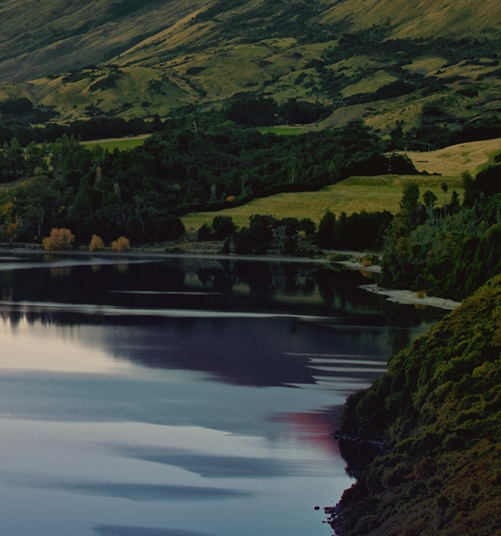 粉象生活怎么赚钱