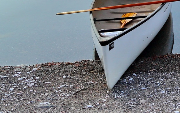 粉象生活订单怎么退款