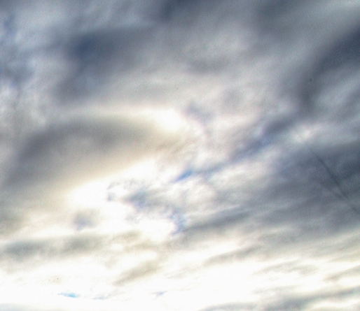 粉象生活视频邀请码