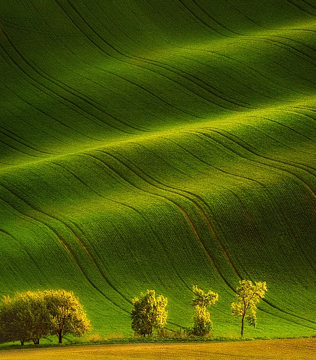 粉象生活如何找微信好友