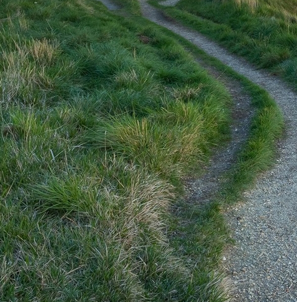 粉象生活怎么注册新号
