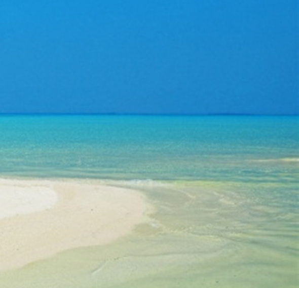 粉象生活有多少用户