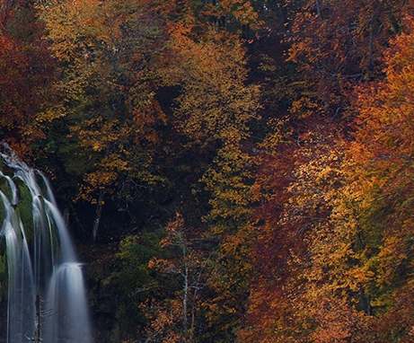 粉象生活的缩写