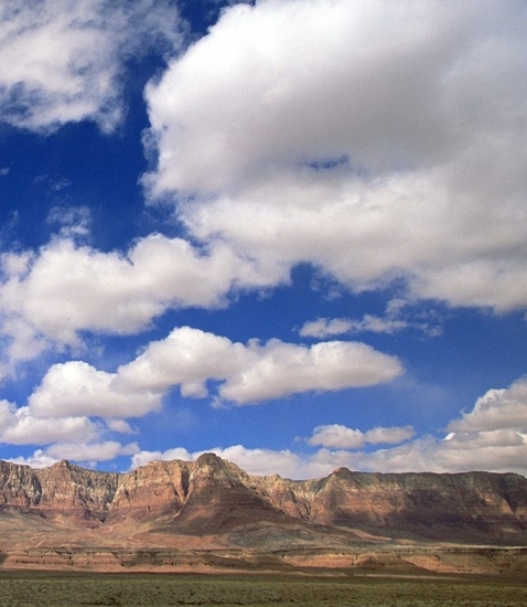 粉象生活羊毛价格
