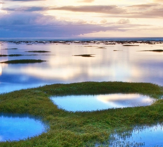 粉象生活可以做什么赚钱