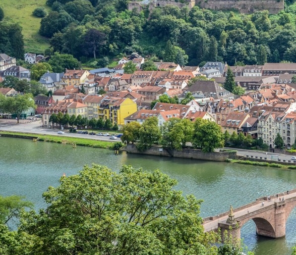 粉象生活怎么不能开店