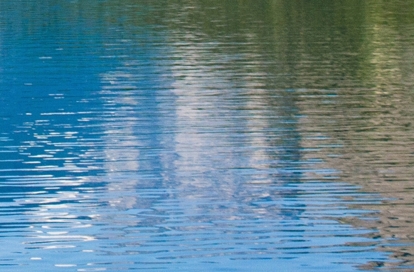 粉象生活怎么赚钱