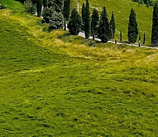 粉象生活怎么找不到客服