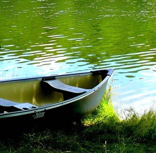 粉象生活怎么赚钱的