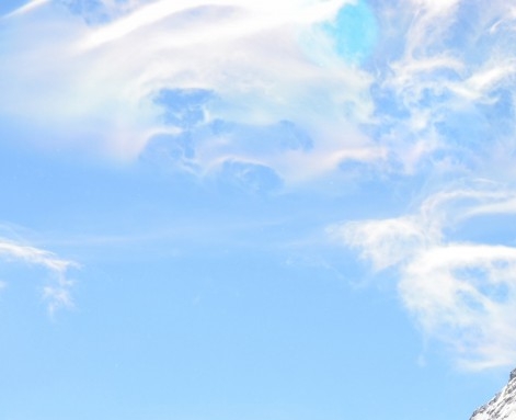 粉象生活有什么软件