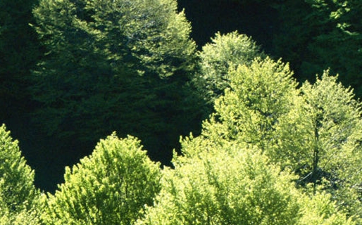 粉象生活新手怎么做