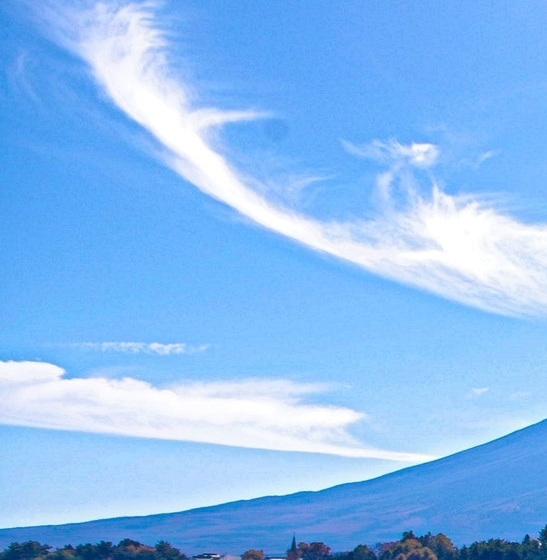 粉象生活怎么在家赚钱