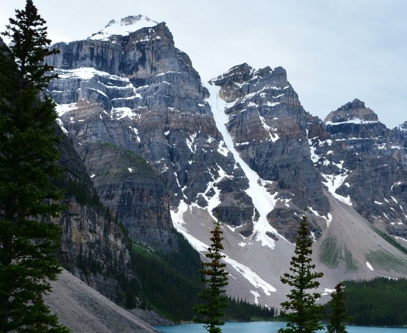 粉象生活下载app